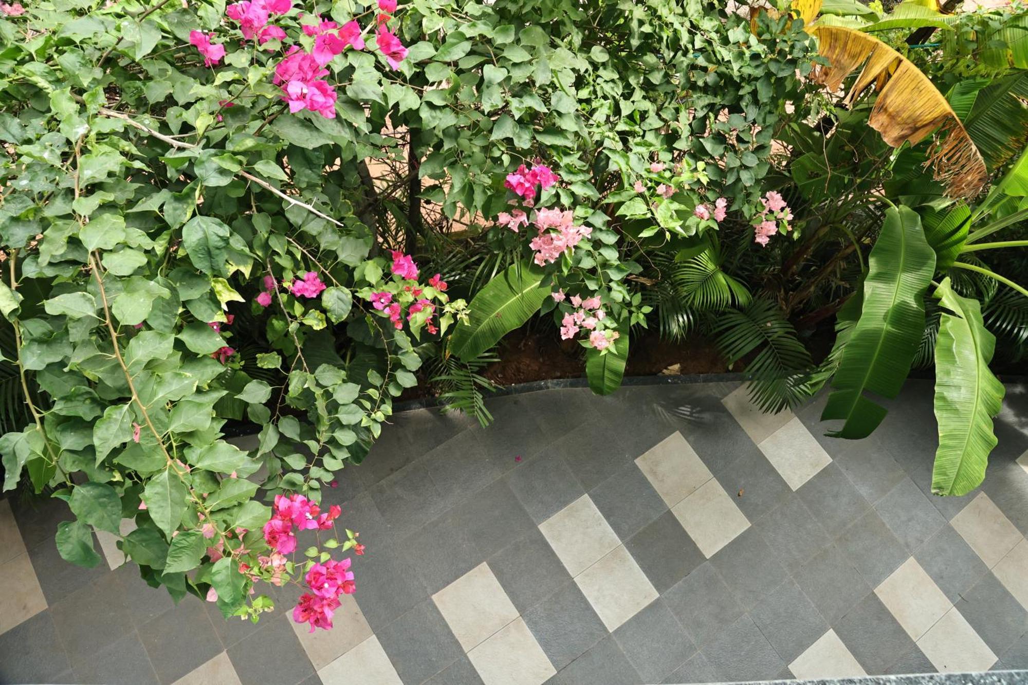 Fusion Home Anjuna Ngoại thất bức ảnh